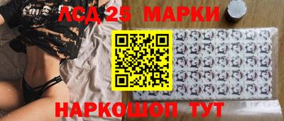 шишки Заволжье