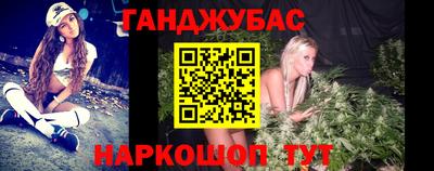 шишки Заволжье