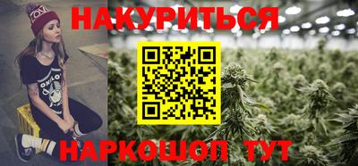 шишки Заволжье
