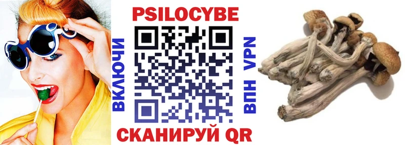 как найти закладки  Торжок  Псилоцибиновые грибы ЛСД 