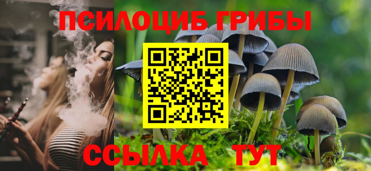 Галлюциногенные грибы мицелий Торжок